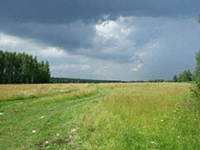 В Подмосковье нашли место для сафари-парка